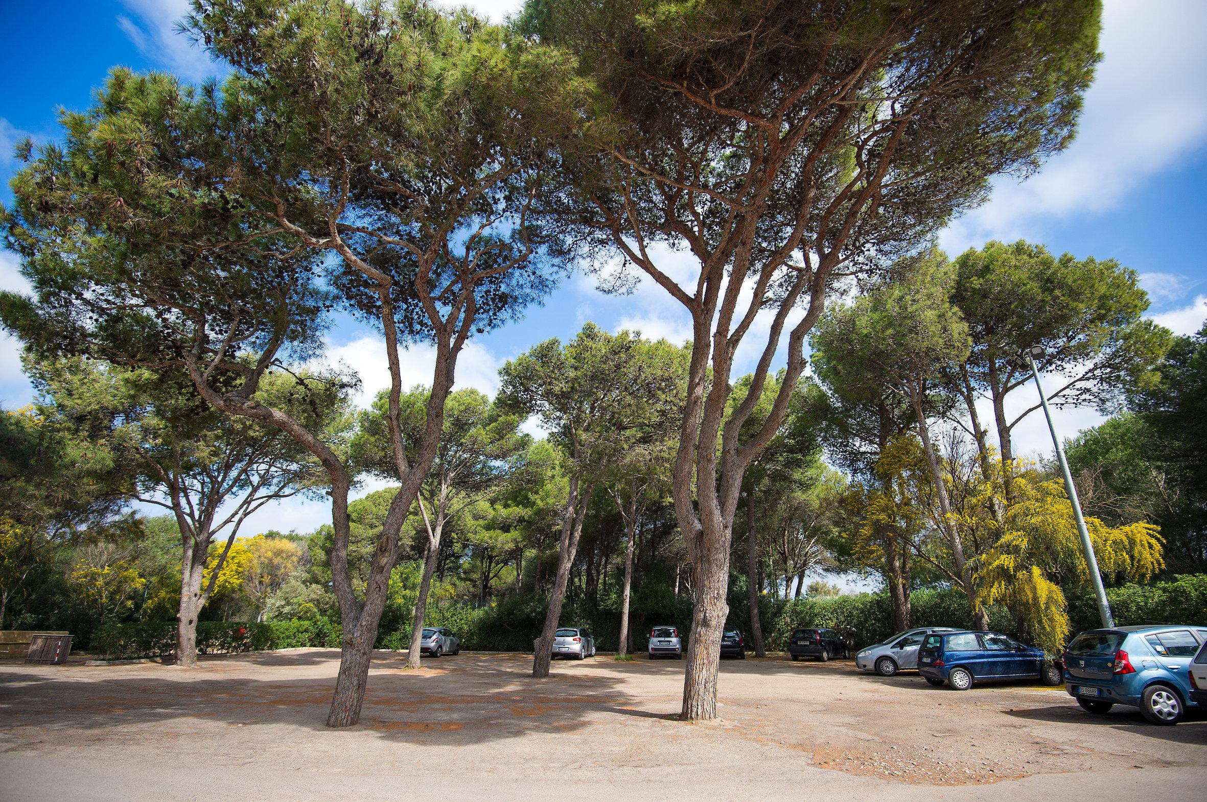 Ecoresort Le Sirene - Caroli Hotels Gallipoli Extérieur photo